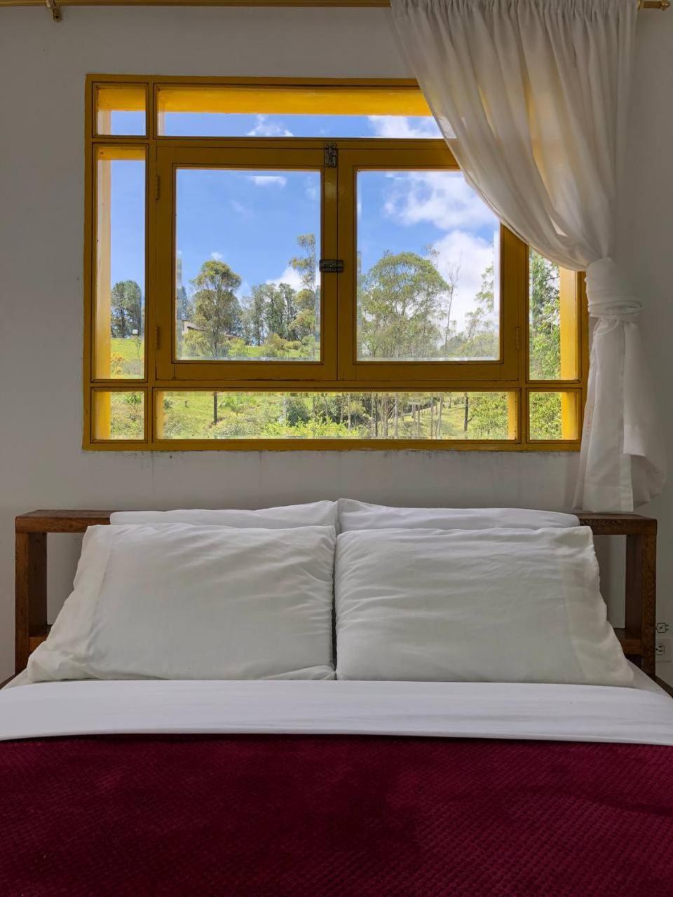 Alegria Hostel Boutique Guatapé 객실 사진